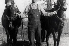Bo-with-mules