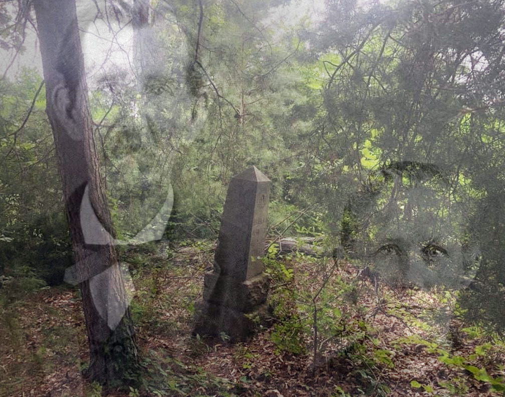 A Visit to the Brantley Family Cemetery