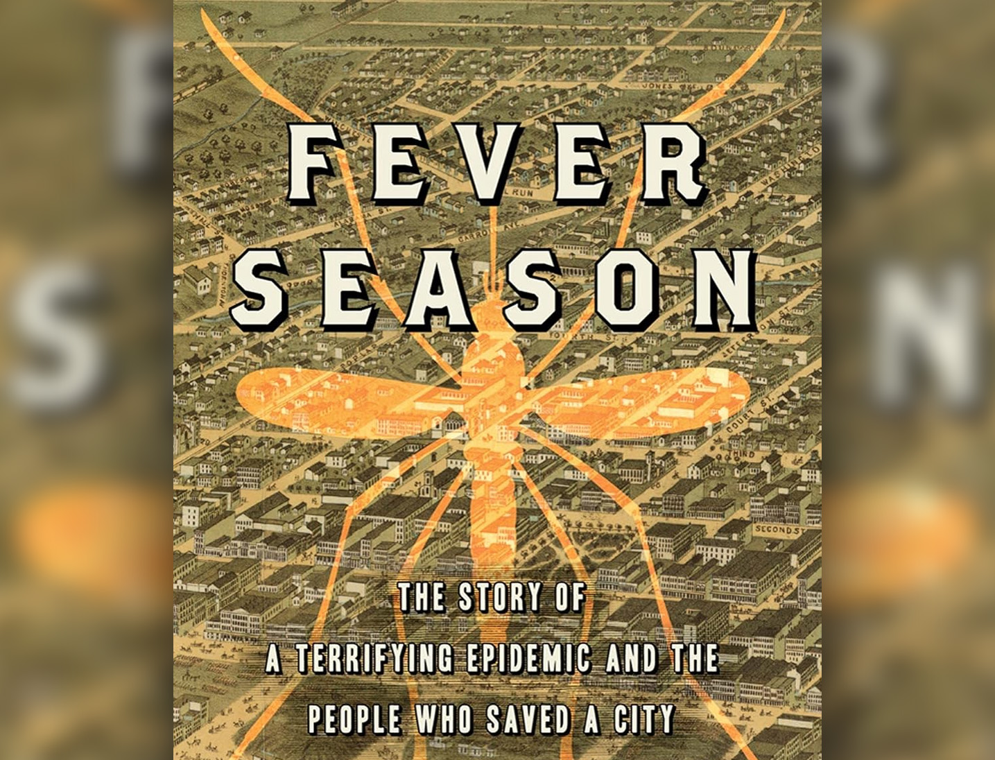 The Yellow Fever Epidemic of 1878